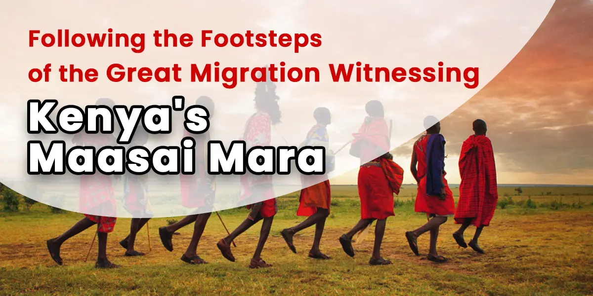Following the Footsteps of the Great Migration: Witnessing Kenya's Maasai Mara