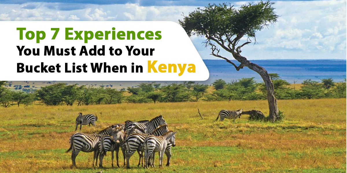 Top 7 Experiences You Must Add to Your Bucket List When in Kenya